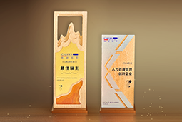 USDT钱包下载指南国际一举斩获“2024年度中国区最佳雇主”等多项大奖