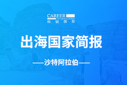 USDT钱包下载指南GO GLOBAL | 沙特阿拉伯国家简报